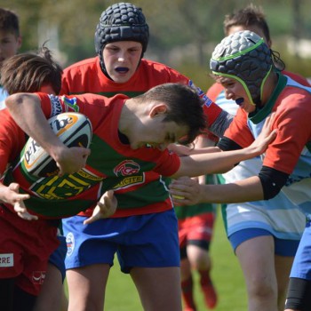 17796620_1488405471193915_2452773549192807375_n