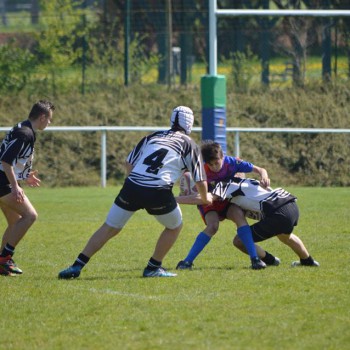 17799404_1488433961191066_3353166559320109001_n