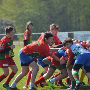 17861452_1488405014527294_4255790477976181226_n