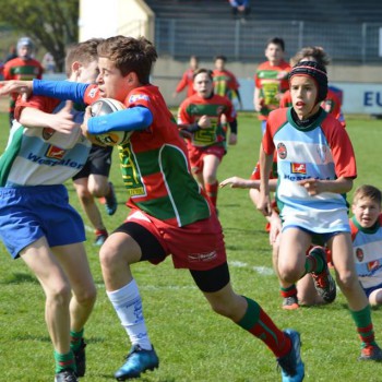 17861773_1488408021193660_6995400956535050312_n