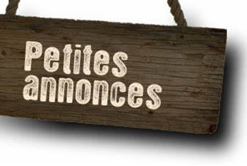 petite annonce