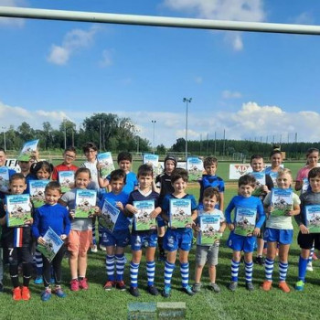 asuc migennes - bamboo